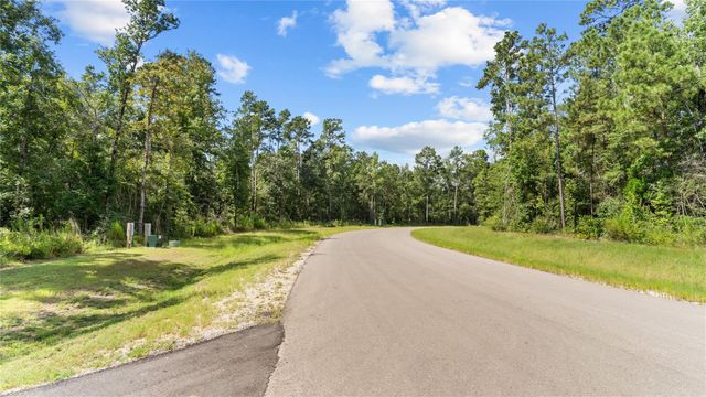 194 Exploration Road, Willis, TX 77378