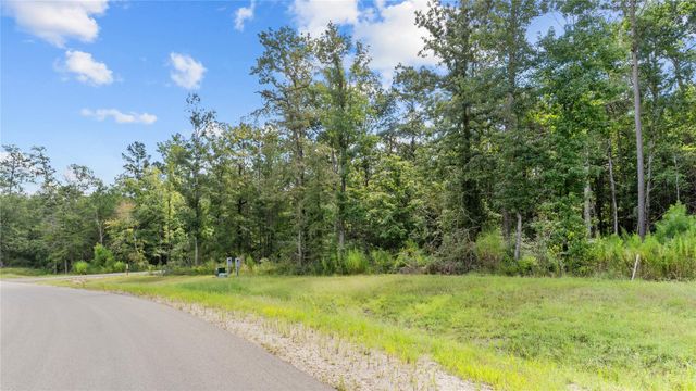 194 Exploration Road, Willis, TX 77378