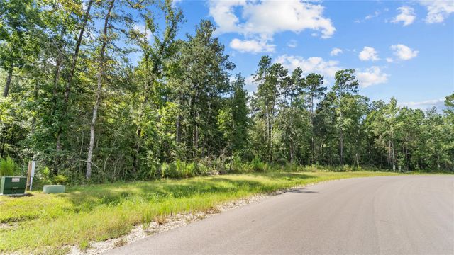 194 Exploration Road, Willis, TX 77378