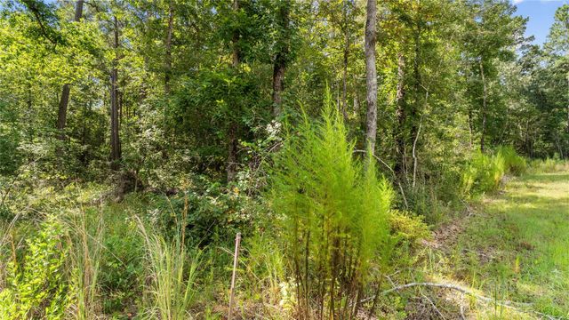 194 Exploration Road, Willis, TX 77378