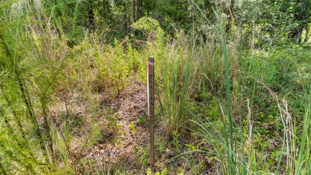 194 Exploration Road, Willis, TX 77378