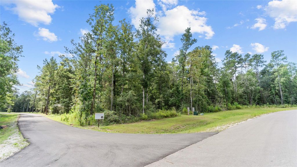 194 Exploration Road, Willis, TX 77378