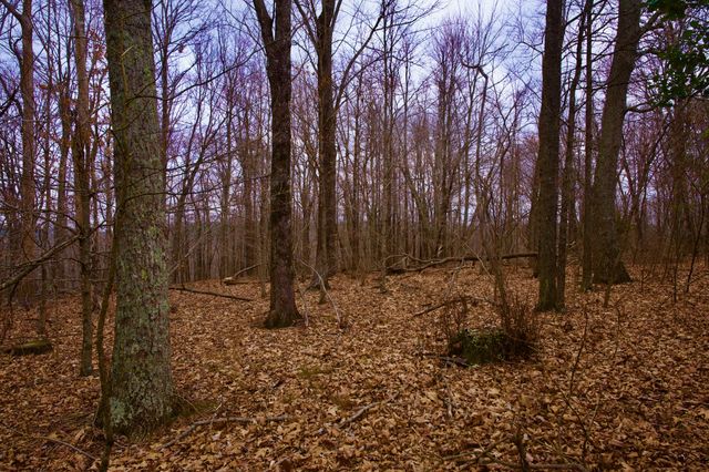 0 Madewell Rd, Spencer, TN 38585