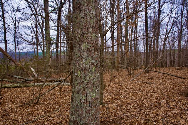 0 Madewell Rd, Spencer, TN 38585