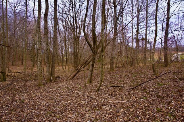 0 Madewell Rd, Spencer, TN 38585