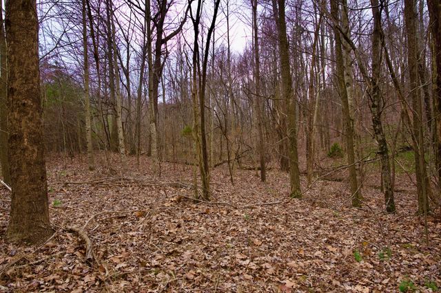 0 Madewell Rd, Spencer, TN 38585