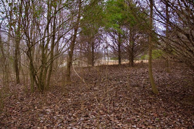 0 Madewell Rd, Spencer, TN 38585