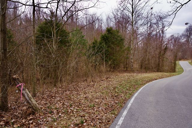 0 Madewell Rd, Spencer, TN 38585