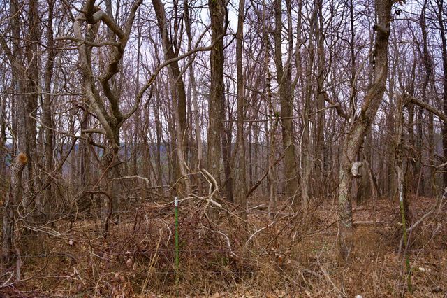 0 Madewell Rd, Spencer, TN 38585