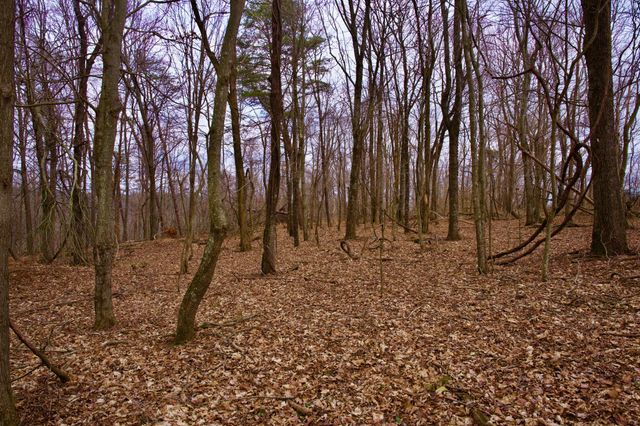0 Madewell Rd, Spencer, TN 38585