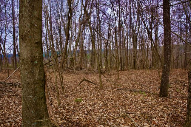 0 Madewell Rd, Spencer, TN 38585