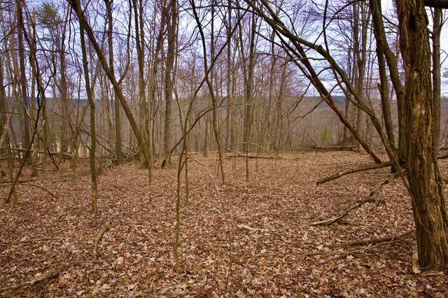 0 Madewell Rd, Spencer, TN 38585