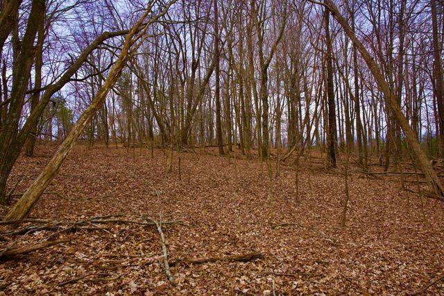 0 Madewell Rd, Spencer, TN 38585
