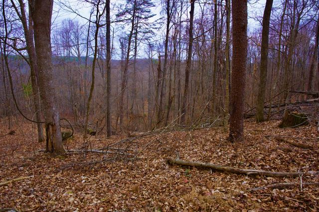 0 Madewell Rd, Spencer, TN 38585