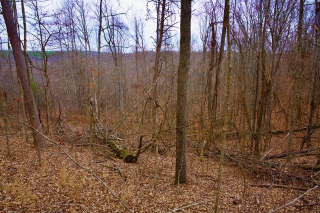 0 Madewell Rd, Spencer, TN 38585