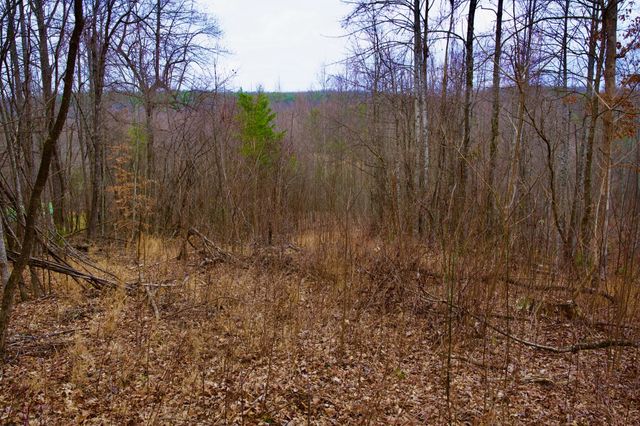 0 Madewell Rd, Spencer, TN 38585