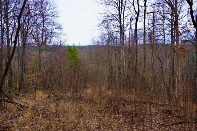 0 Madewell Rd, Spencer, TN 38585