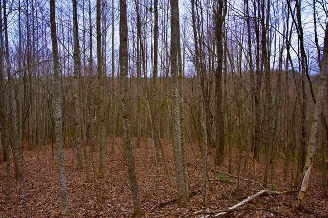 0 Madewell Rd, Spencer, TN 38585