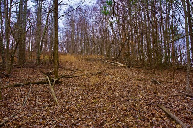 0 Madewell Rd, Spencer, TN 38585