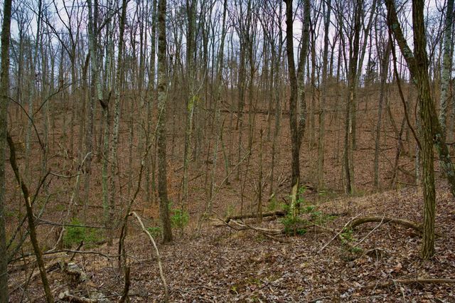 0 Madewell Rd, Spencer, TN 38585