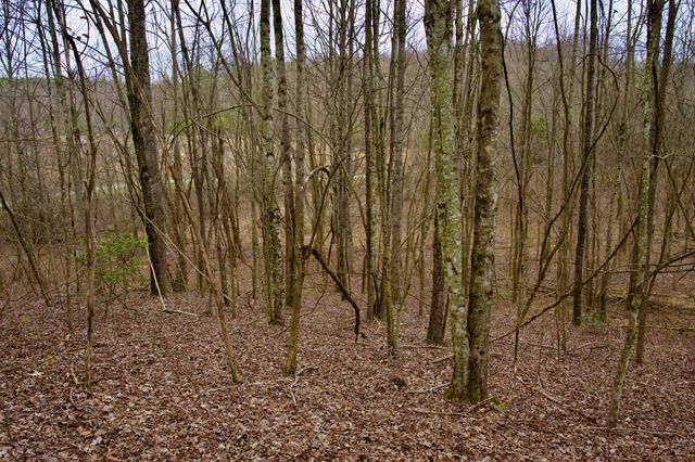0 Madewell Rd, Spencer, TN 38585