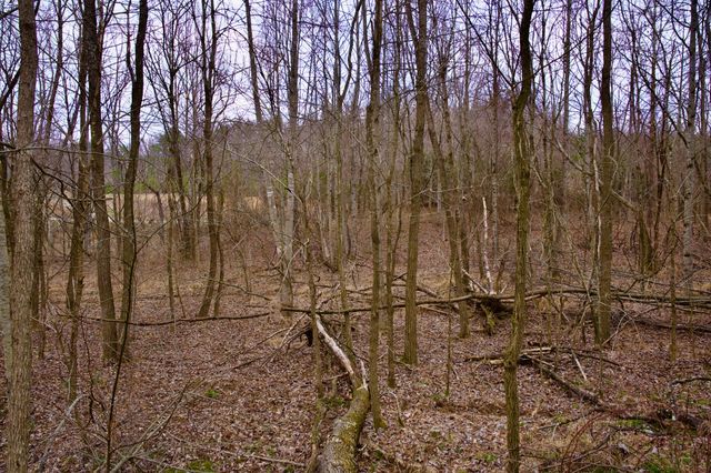 0 Madewell Rd, Spencer, TN 38585