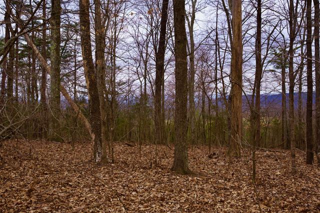 0 Madewell Rd, Spencer, TN 38585