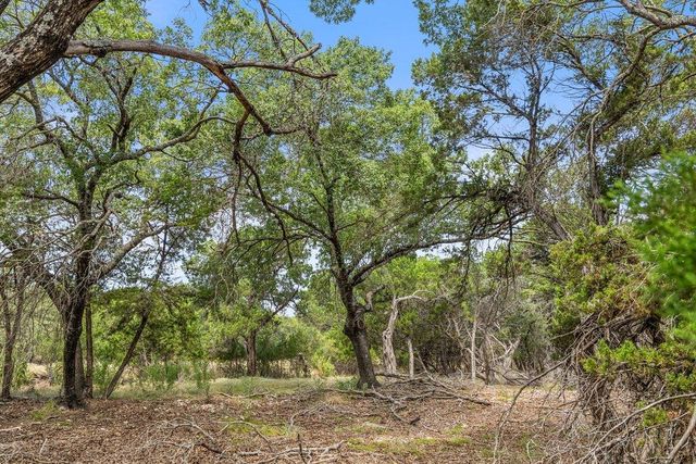 17609 Regatta View DR, Jonestown, TX 78645