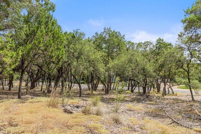 17609 Regatta View DR, Jonestown, TX 78645