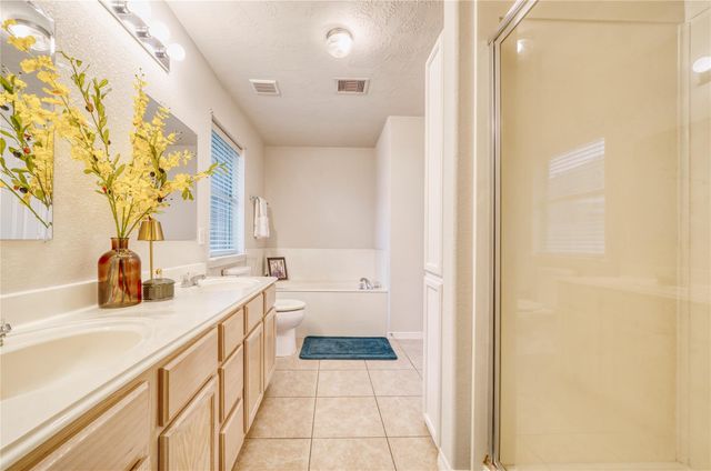 1187 Colt Creek Court, Alvin, TX 77511