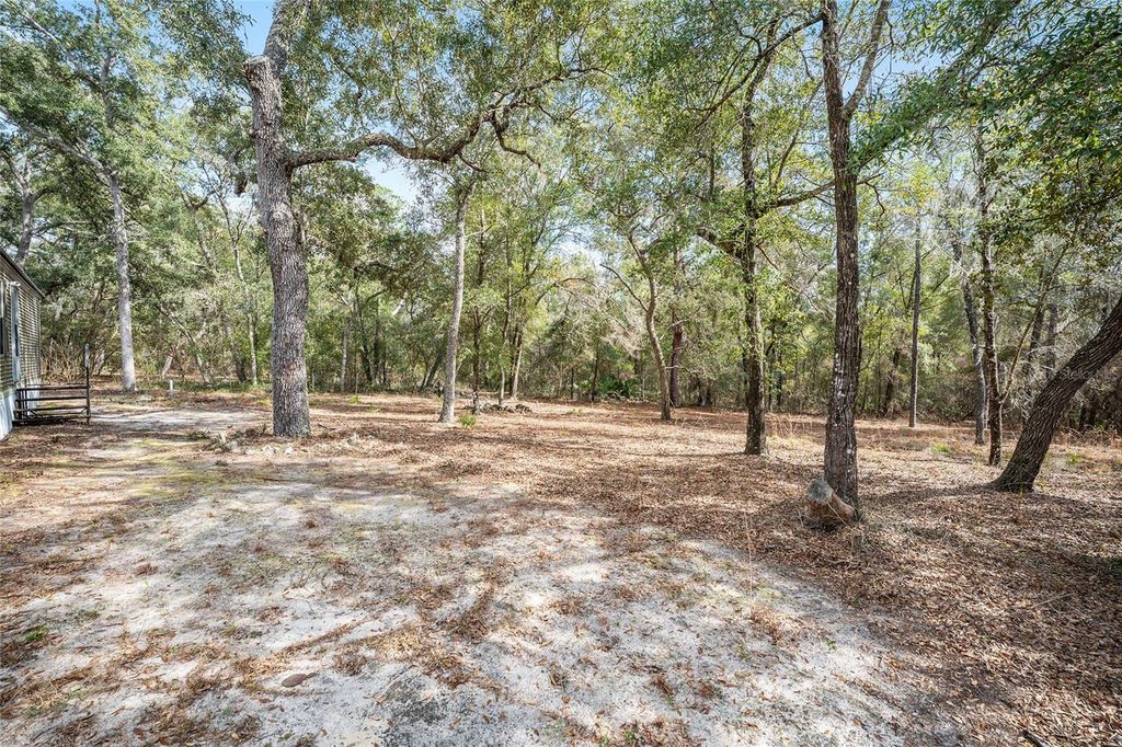 Image 39 of property listing at 161 HALL ROAD, Melrose, FL 32666