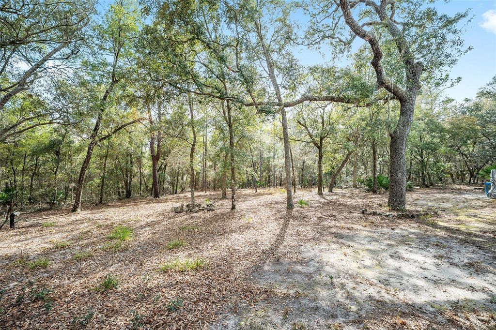 Image 42 of property listing at 161 HALL ROAD, Melrose, FL 32666