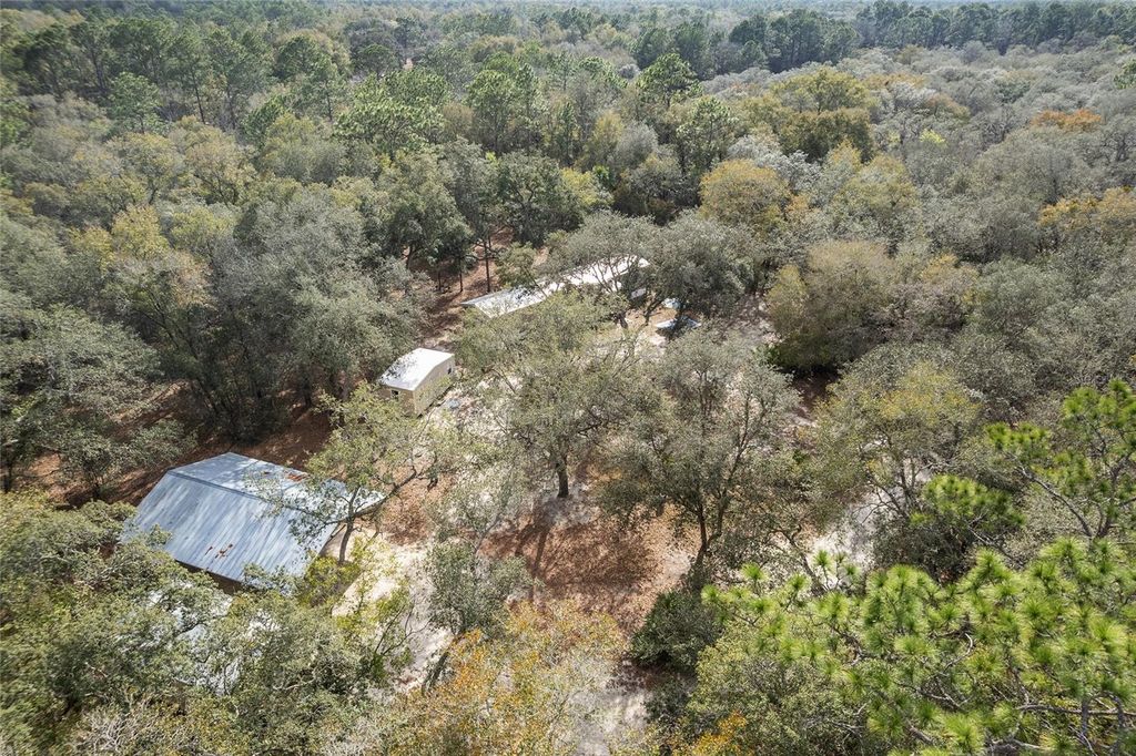 Image 53 of property listing at 161 HALL ROAD, Melrose, FL 32666