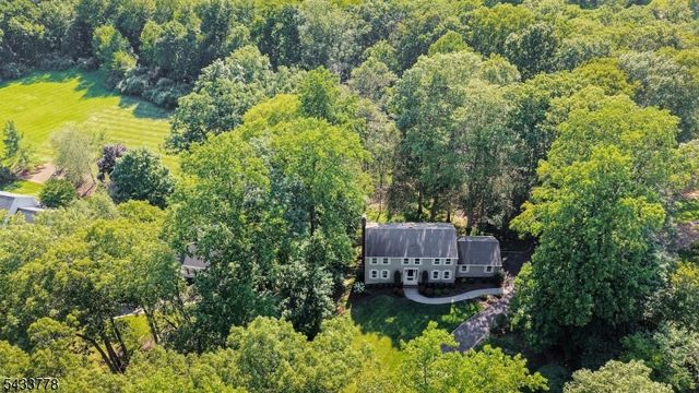 6 Deerwood Trl, Warren Twp., NJ 07059
