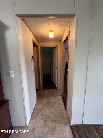 142 Lone Holly Lane, New Tazewell, TN 37825