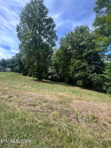 142 Lone Holly Lane, New Tazewell, TN 37825