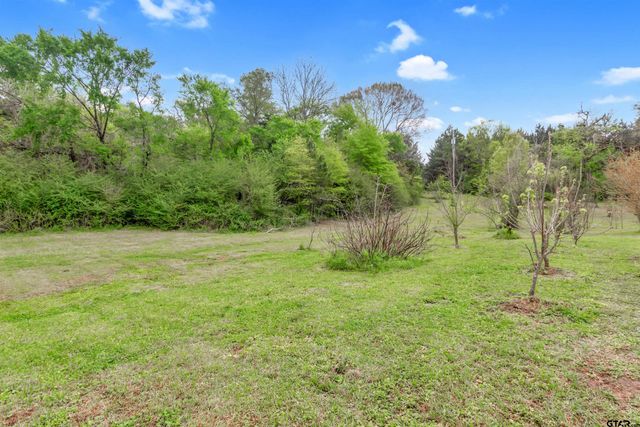 8350 FM 346 W, Flint, TX 75762