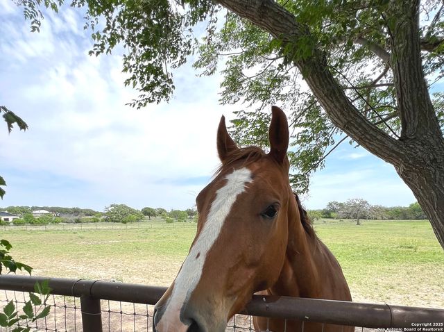 545 Highgate Dr., Bandera, TX 78003