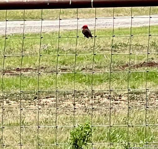 545 Highgate Dr., Bandera, TX 78003