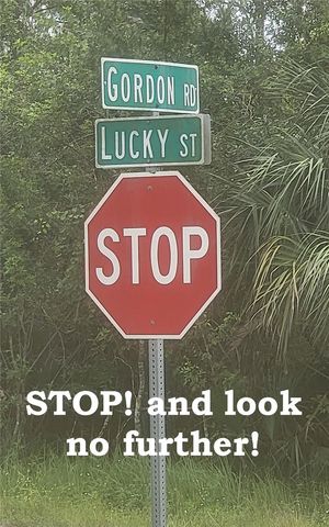 202 GORDON ROAD NW, Palm Bay, FL 32907