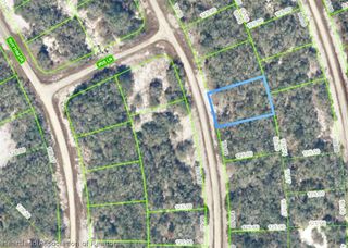 269 Dargen Drive, Lake Placid, FL 33852