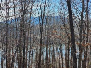 Lot 7 Robin Ridge CT, Pittsville, VA 24139