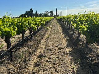 11325 S Cornelia Avenue, Fresno, CA 93609