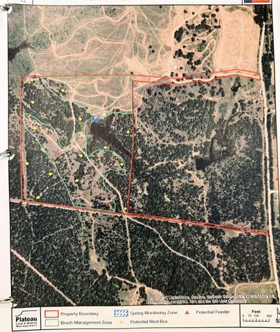 TBD Cr-1990, Chico, TX 76431