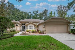 3821 TURKEY OAK DR, Valrico, FL 33596