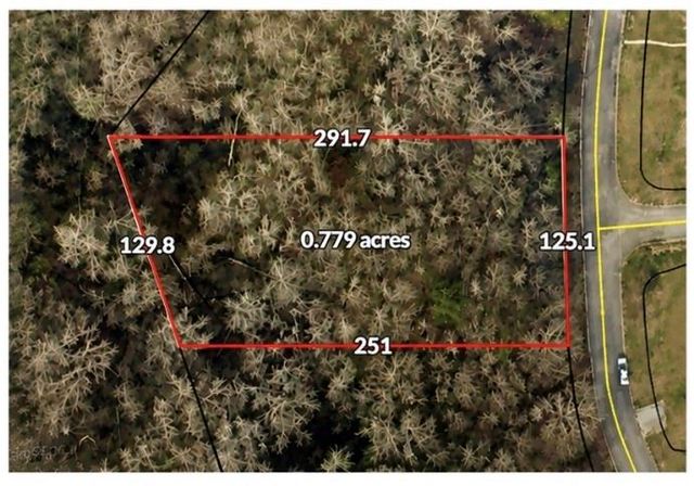 807 Anna Kathryn Drive, Stockbridge, GA 30281