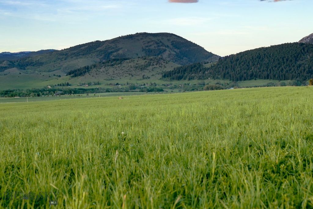 1903 Mount Ellis Lane, Bozeman, MT 59715 photo 48