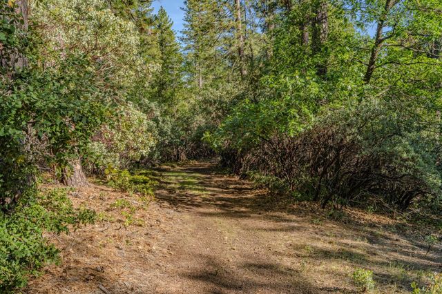 211 Fox Rd, Glencoe, CA 95232