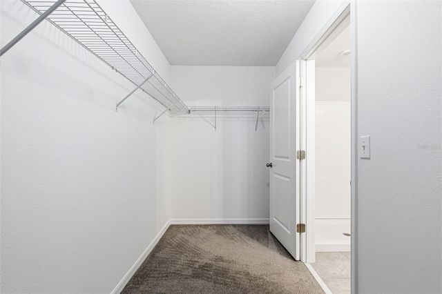 14228 COVERT GREEN PLACE, Riverview, FL 33579