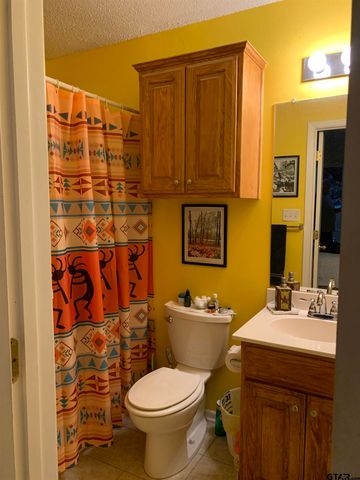 399 Cimarron Trl, Holly Lake Ranch, TX 75765